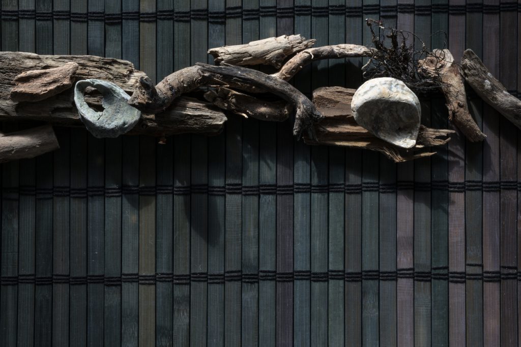 Dark marine composition of driftwood and seashells on a wooden bar.